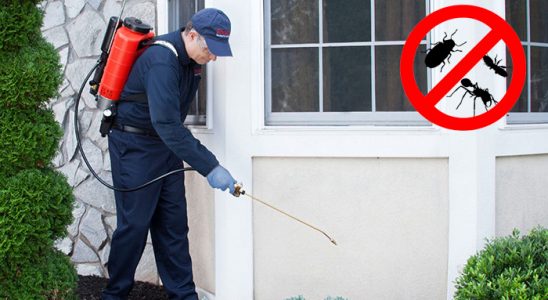 Balatçık Kemirgen İlaçlama böcek ilaçlama ve haşere kontrolü — ilaclama-tr.com